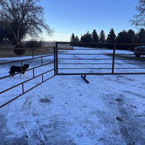 free standing metal panel with attached metal gate