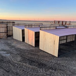 Wind Break and Calf Shelter